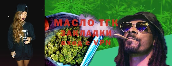 индика Абинск